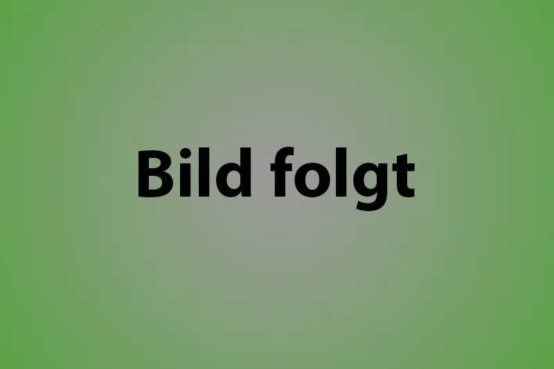 Farbfläche mit Verlauf von grün nach grau. Auf der Farbfläche steht: Bild folgt.